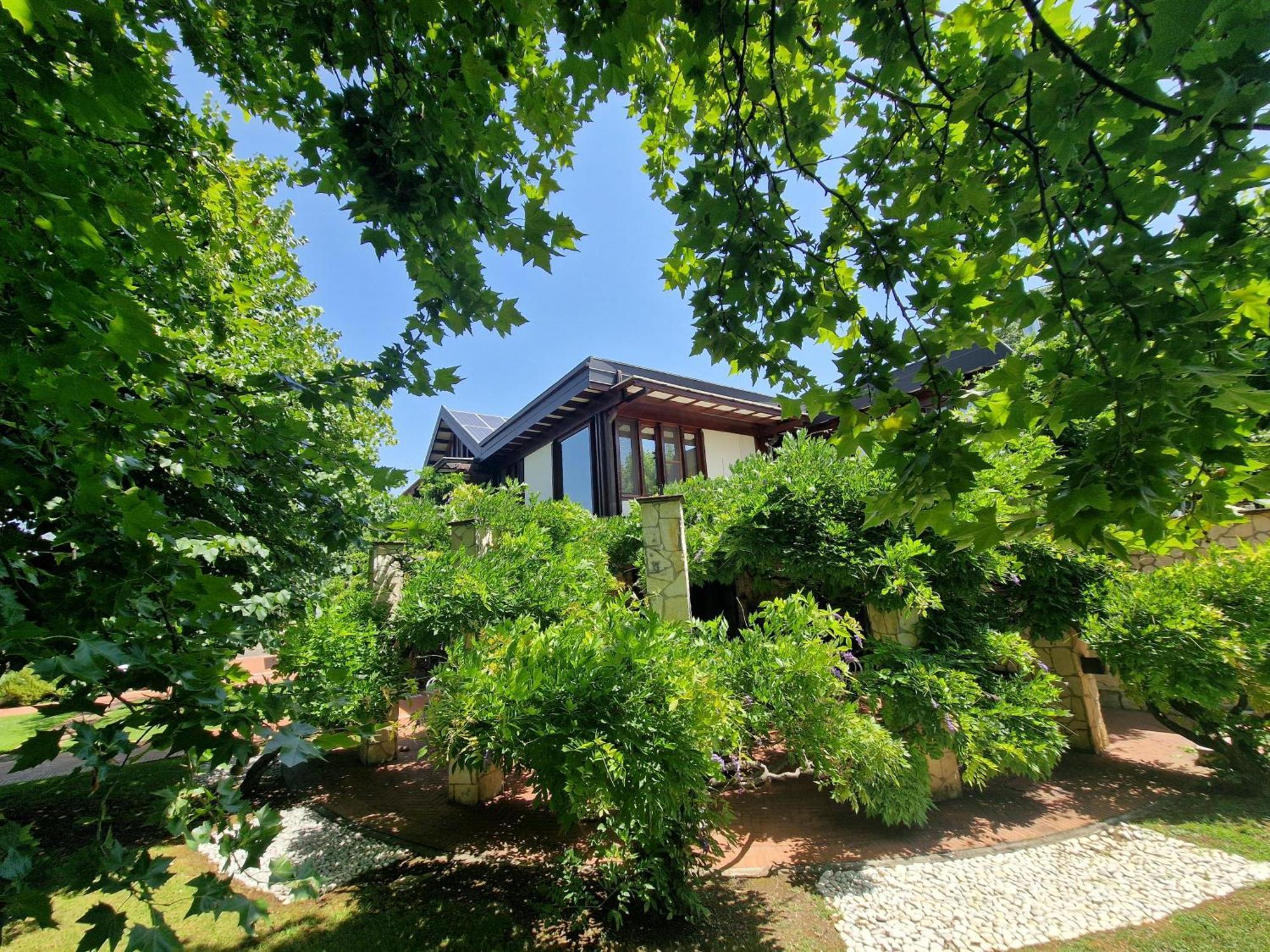 B&B Villa Sbaraglia Alatri Kültér fotó