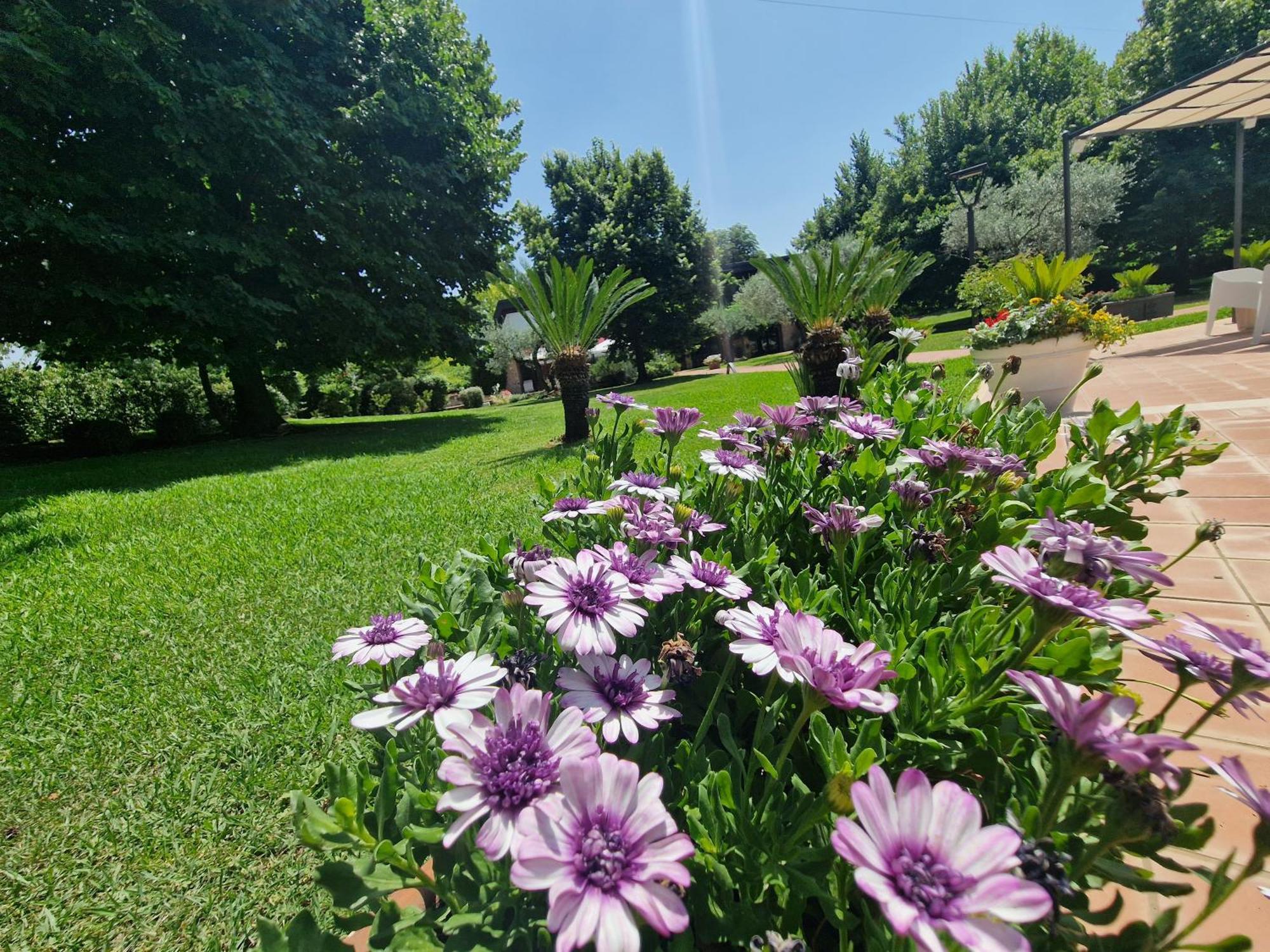 B&B Villa Sbaraglia Alatri Kültér fotó