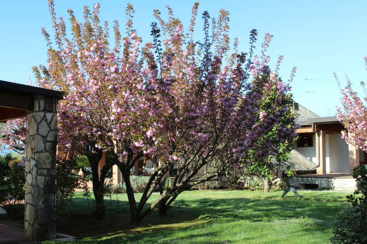 B&B Villa Sbaraglia Alatri Kültér fotó
